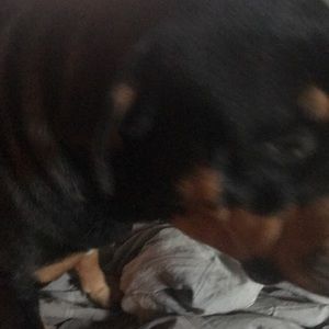 Meet your Posher, Katherine